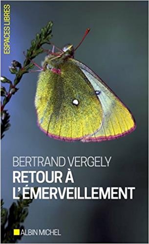 L'émerveillement, une école de réalisme