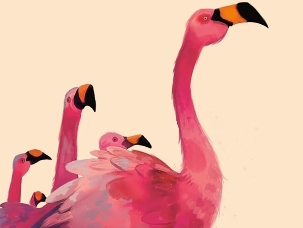 Incroyables découvertes sur le comportement animal